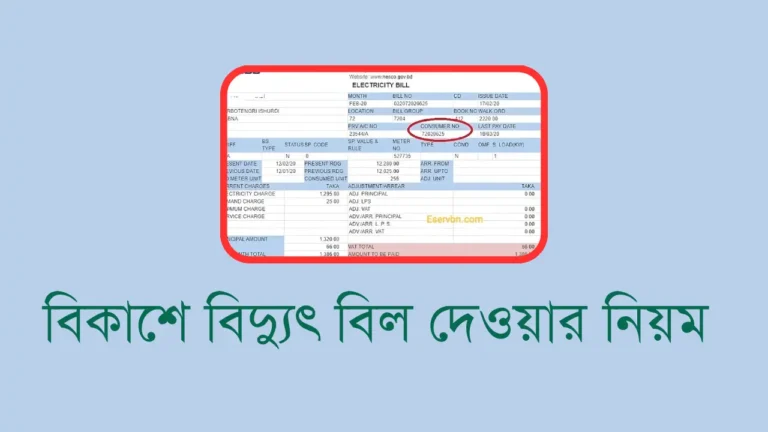 বিকাশে বিদ্যুৎ বিল দেওয়ার নিয়ম ২০২৫